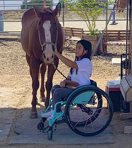 Girl on wheelchair brushing a horse
