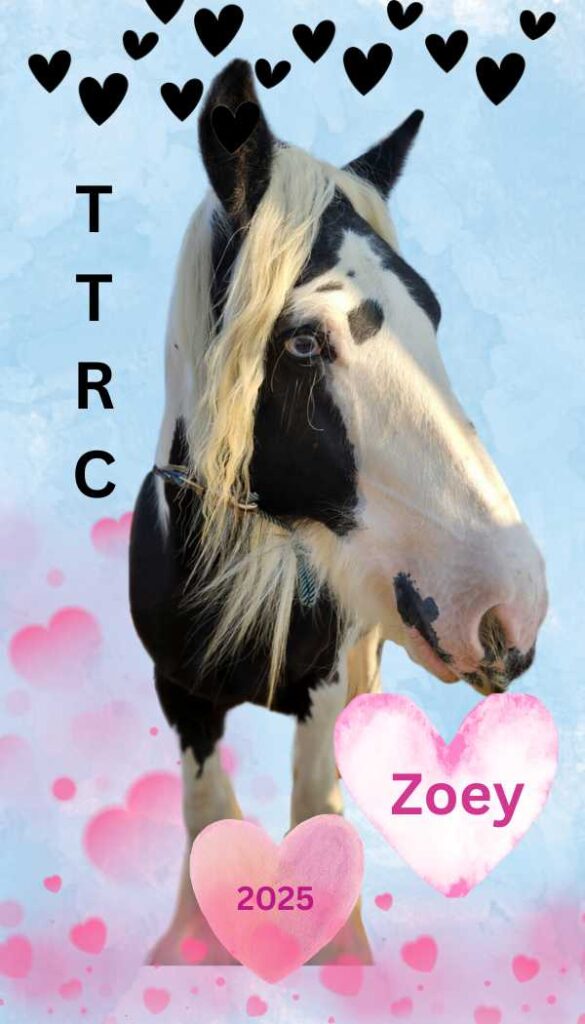 TTRC Zoey